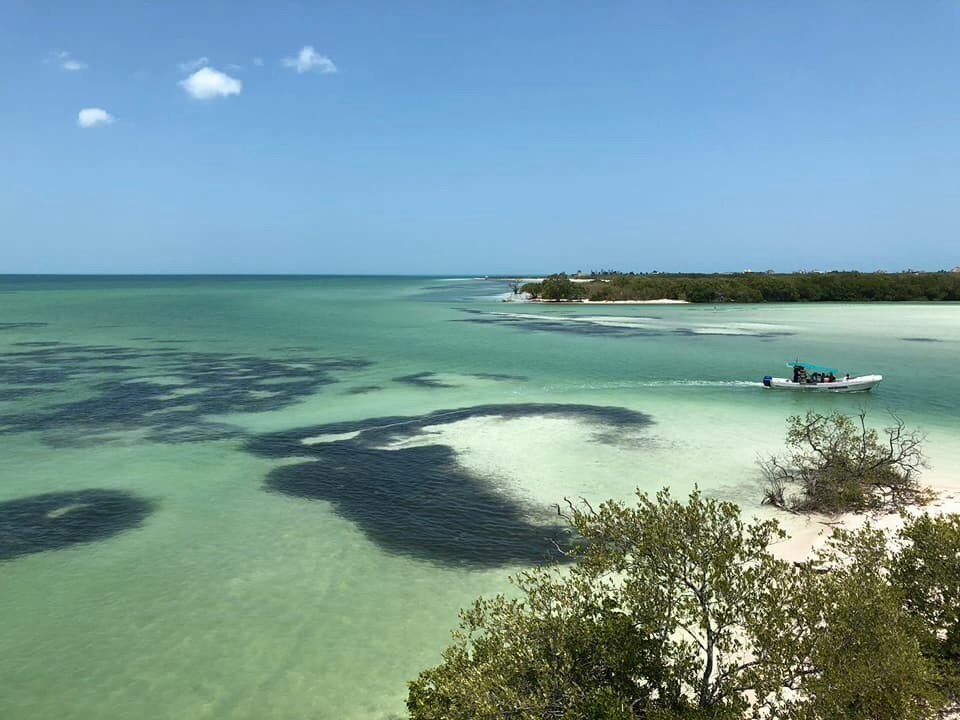 Experience The Untouched Beauty Of Punta Cocos Holbox!