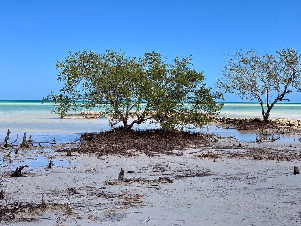 Explore The Hidden Gem Of Punta Mosquito Holbox!