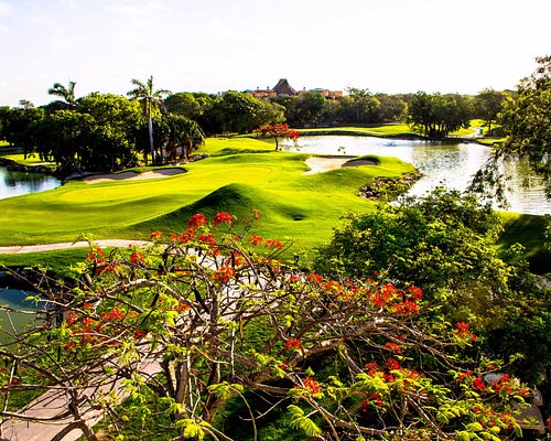 Exploring Golf Courses in Playa Del Carmen