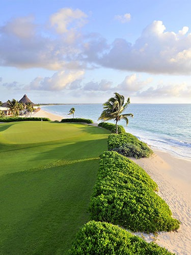 Exploring the Luxury of Mayakoba Golf