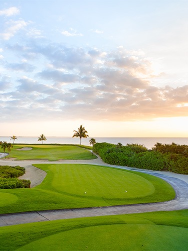 Exploring the Luxury of Mayakoba Golf