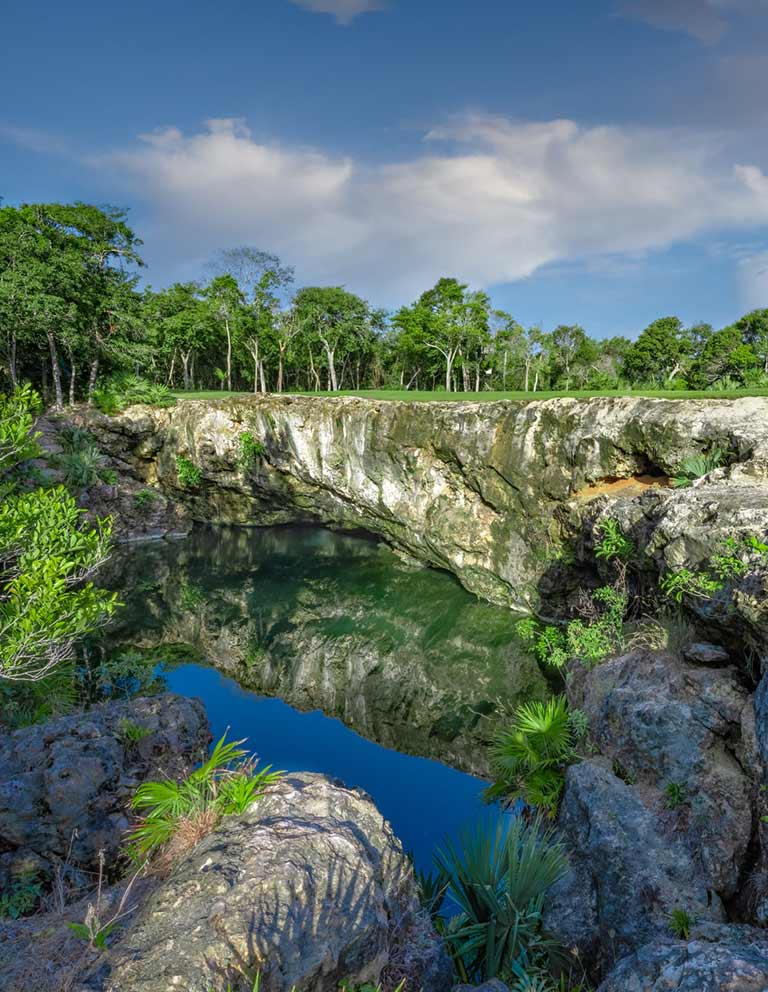 Exploring the Majestic Riviera Maya Golf Club