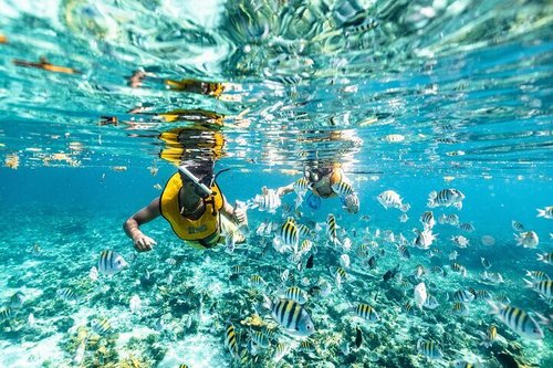 Snorkeling Holbox – Explore A New World In Crystal Clear Waters!